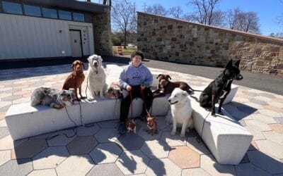 Why I’m Finally Writing This Blog (And What You Can Expect)